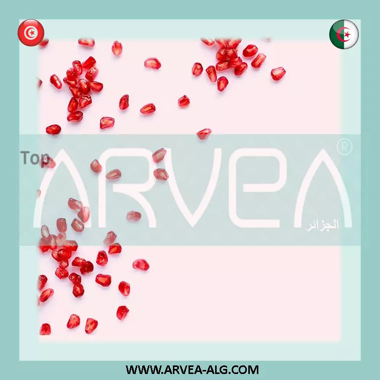 فرصة عمل من المنزل و بدون رأس arvea_algerie work from home